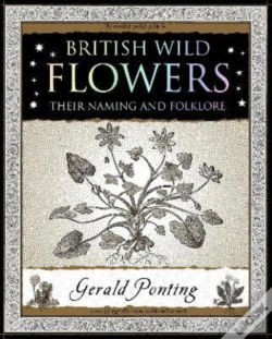 Capa do artigo British Wild Flowers