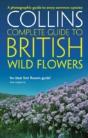 British Wild Flowers - Preview