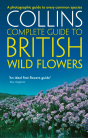 British Wild Flowers - Preview