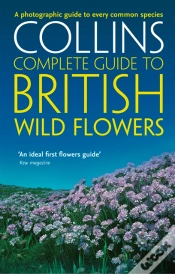 Capa do artigo British Wild Flowers