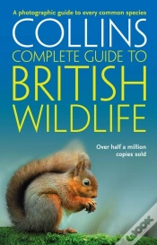Capa do artigo British Wildlife