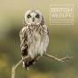 British Wildlife Photography Awards 9 - Preview