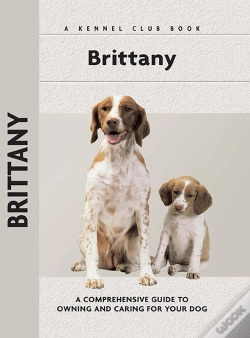 Capa do artigo Brittany