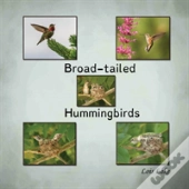 Broad-Tailed Hummingbirds