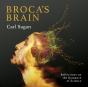 Broca'S Brain - Preview