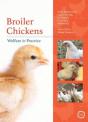 Broiler Chickens Welfare In Practice - Preview