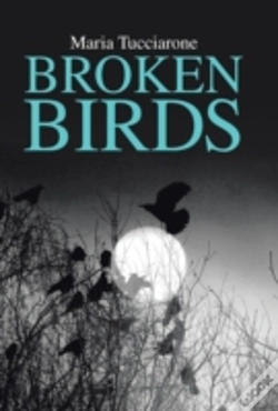 Capa do artigo Broken Birds