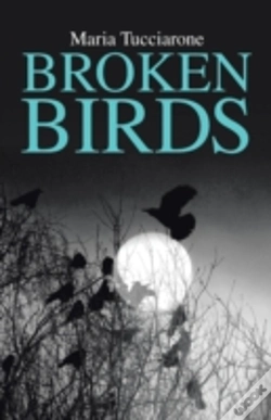 Capa do artigo Broken Birds