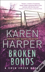 Capa do artigo Broken Bonds