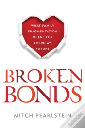Capa do artigo Broken Bonds