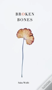 Capa do artigo Broken Bones