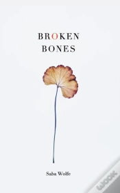 Capa do artigo Broken Bones