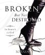 Broken-But Not Destroyed - Preview