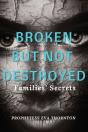 Broken But Not Destroyed - Preview
