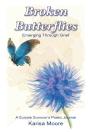 Broken Butterflies - Preview