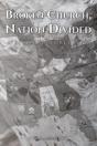 Broken Church, Nation Divided: A Biblica - Preview