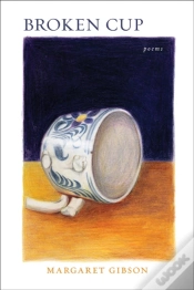 Capa do artigo Broken Cup