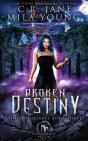 Broken Destiny - Preview