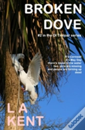 Capa do artigo Broken Dove