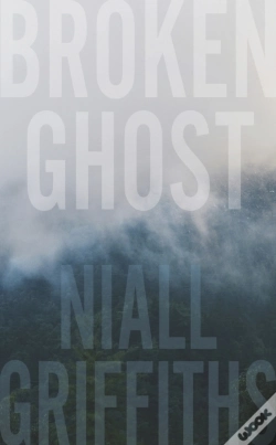 Capa do artigo Broken Ghost