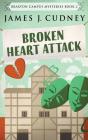 Broken Heart Attack - Preview