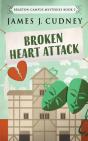 Broken Heart Attack - Preview