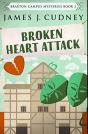 Broken Heart Attack - Preview