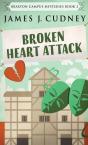 Broken Heart Attack - Preview