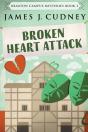 Broken Heart Attack - Preview