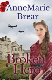 Broken Hero