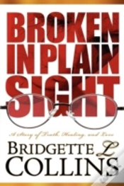 Capa do artigo Broken In Plain Sight