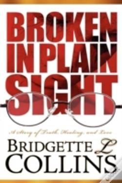 Capa do artigo Broken In Plain Sight