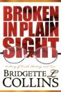 Broken In Plain Sight - Preview