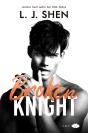 Broken Knight - Preview
