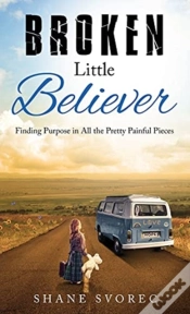 Capa do artigo Broken Little Believer