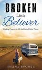 Broken Little Believer - Preview