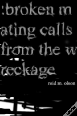 Capa do artigo Broken Mating Calls From The Wreckage