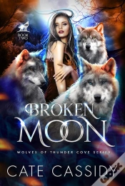 Capa do artigo Broken Moon