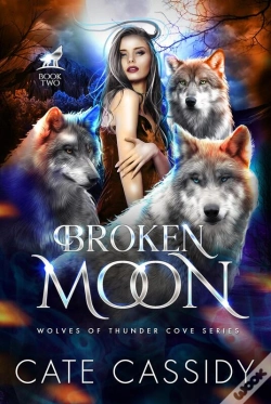 Capa do artigo Broken Moon