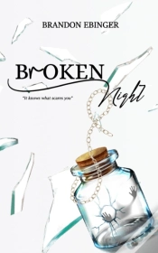 Capa do artigo Broken Night