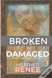 Capa do artigo Broken Not Damaged