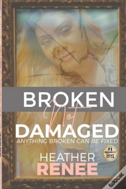 Capa do artigo Broken Not Damaged