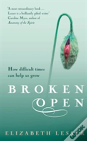 Capa do artigo Broken Open