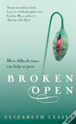 Capa do artigo Broken Open