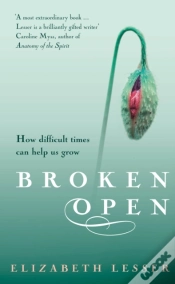 Capa do artigo Broken Open