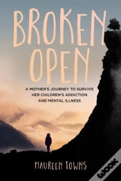 Capa do artigo Broken Open