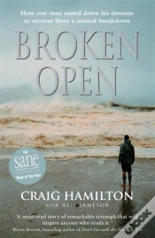 Capa do artigo Broken Open