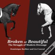Broken Or Beautiful