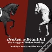 Broken Or Beautiful