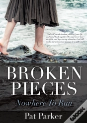 Capa do artigo Broken Pieces